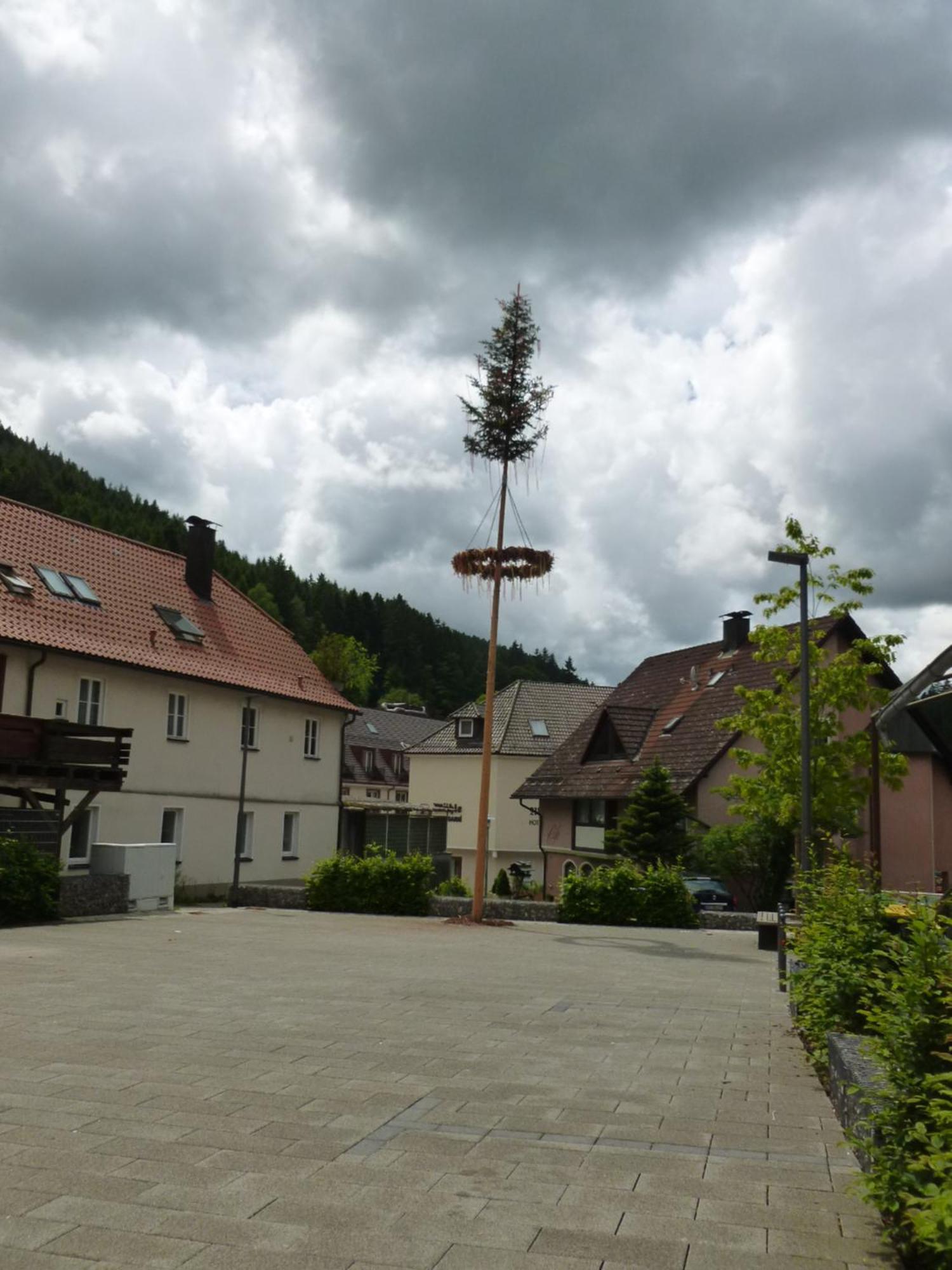 Gasthaus Waldhorn Bad Teinach-Zavelstein Bagian luar foto